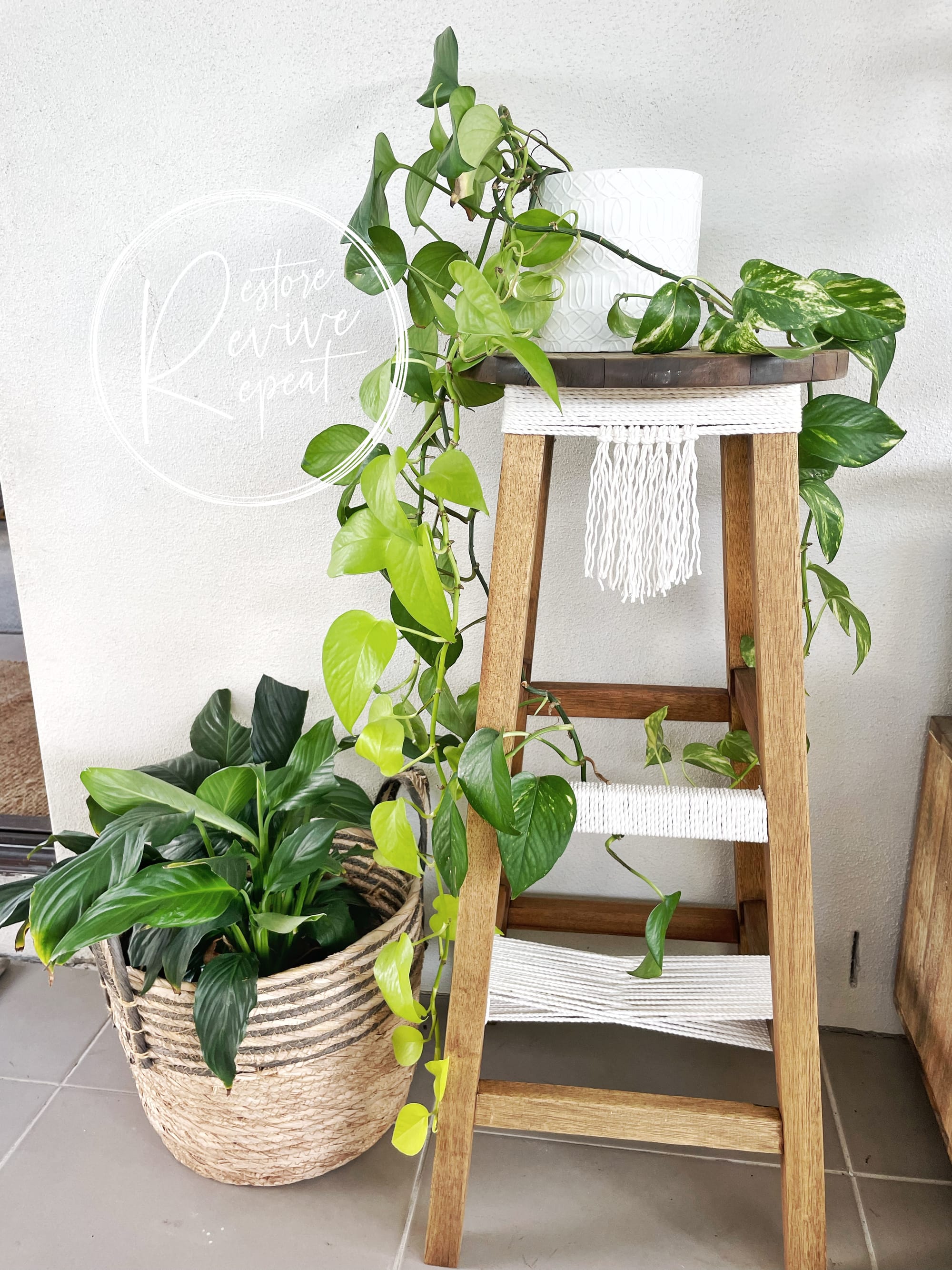 Macrame Plant Stand