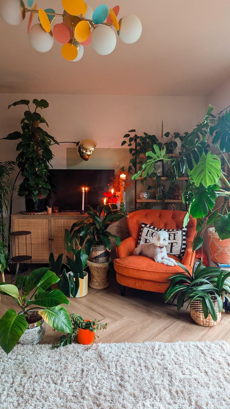 5 Rules To Live By For A Joyful Home